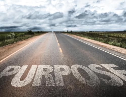Finding your Purpose in Life